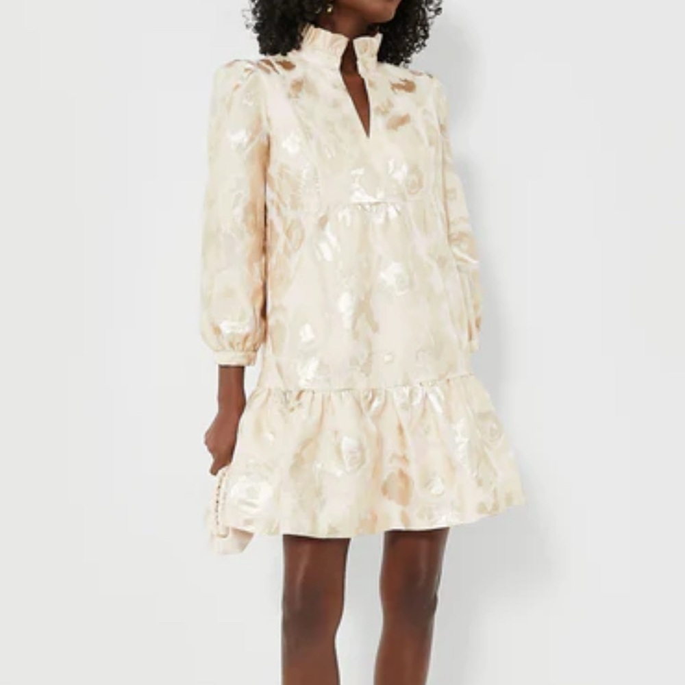 Tuckernuck palmerston mini dress size small champagne fil coupe cream